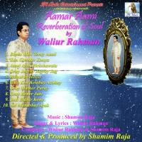 Aami Ayak Rickshawala Waliur Rahman Song Download Mp3