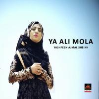 Ya Ali Mola Yashfeen Ajmal Shaikh Song Download Mp3