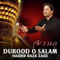 Durood O Salam Haider Raza Zaidi Song Download Mp3