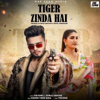 Tiger Zinda Hai Gurlej Akhtar,The King Song Download Mp3