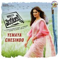 Yemaya Chesindo (From "Where Is The Venkatalakshmi") Hari Gowra,Balaji Song Download Mp3