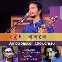 Tui Bolle Arnab (Shayan Chowdhury) Song Download Mp3