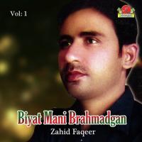 Dil Mani Tara Naga Zahid Faqeer Song Download Mp3