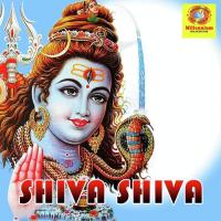 Shiva Shiva Regha Shailesh Song Download Mp3