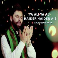 Ya Ali Ya Ali Haider Haider A.s Shadman Raza Song Download Mp3