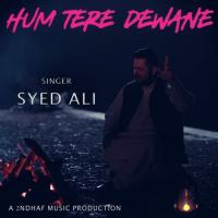 Hum Tere Dewane Syed Ali Song Download Mp3