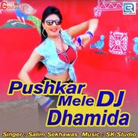 Pushkar Mele Dj Dhamida Salim Shekhawas Song Download Mp3