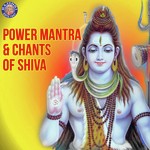 Purusha Suktam (Shiva) Vighnesh Ghanapaathi,Gurumurthi Bhat,Shridhara Bhat Vedadhara Song Download Mp3