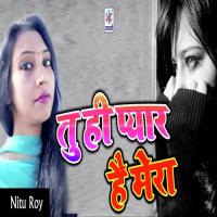 Tu Hi Pyaar Hai Mera Nitu Roy Song Download Mp3