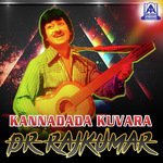 Vishwa Vishwa Dr. Rajkumar Song Download Mp3