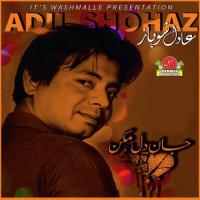 Juste Beka Adil Shohaz Song Download Mp3