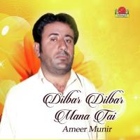 Tai Man Dosti A Dilbar Ameer Munir Song Download Mp3