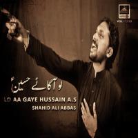 Ro Ke Kehti Thi Sakina Yeh Baba Ton Kahan Hai Shahid Ali Abbas Song Download Mp3