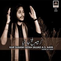 Apni Bakhshish Ka Waseela Matam E Shabir Hai (Vol 2018) Kazim Ali Zaidi Song Download Mp3