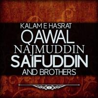 Kr Dn Ga Dil O Jaan Qawal Najmuddin Saifuddin Brothers Song Download Mp3