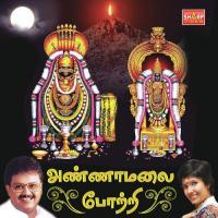 Ongara Porul S.P. Balasubrahmanyam Song Download Mp3