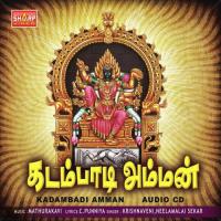 Alangara Poojaikal Krishnaveni Song Download Mp3