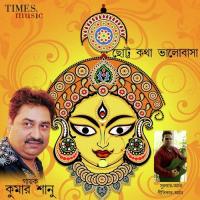 Durga Pujo Eshe Geche Kumar Sanu Song Download Mp3