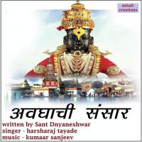 Avaghachi Sausaar Harsharaj Tayade Song Download Mp3