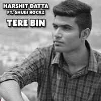 Tere Bin Harshit Datta Song Download Mp3