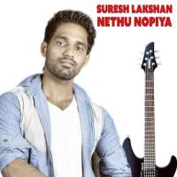 Nethu Nopiya - 1 Rasik Barot Song Download Mp3