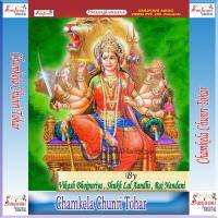 Gaha Gaha Kare Mai Raur Mandirya - 1 Vikash Bhojpuriya Song Download Mp3