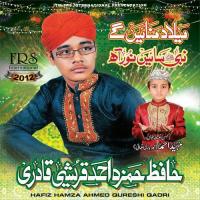 Nabi Saiyen Noor Aah Hafiz Hamza Ahmed Qureshi Qadri Song Download Mp3