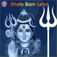 Om Namah Shivaya Vighnesh Ghanapaathi,Gurumurthi Bhat,Shridhara Bhat Vedadhara Song Download Mp3