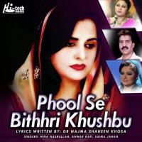 Aaj Bhi Shaheen Hina Nasurullah Song Download Mp3