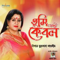 Tumi Aktu Boste Deo Nigar Sultana Tawhid Song Download Mp3