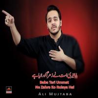 Baba Teri Ummat Ne Zahra Ko Rulaya Hai Ali Mujtaba Song Download Mp3