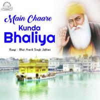 Hao Aaiya Dooroh Chalke Bhai Amrik Singh Zakhmi Song Download Mp3