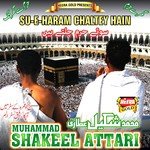 Ya Rasool Allah Muhammad Shakeel Attari Song Download Mp3