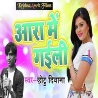 Aara Me Gaili Chotu Deewana Song Download Mp3