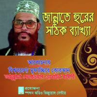 Jannate Hurer Sothik Bekkha Allama Delwar Hossain Saydee Song Download Mp3