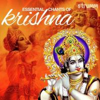 Om Namo Bhagavate Vasudevay Shankar Mahadevan Song Download Mp3