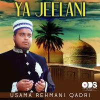 Ya Jeelani Usama Rehmani Qadri Song Download Mp3