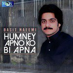 Mekon Mein Rey Mann Basit Naeemi Song Download Mp3