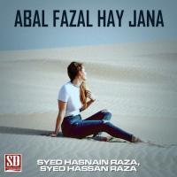 Haidar Sa Koi Nahen Syed Hasnain Raza,Syed Hassan Raza Song Download Mp3