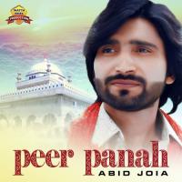 Photo Saday Abid Joia Song Download Mp3