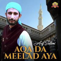 Labbaik Ya Rasool Allah Asif Sultani Song Download Mp3