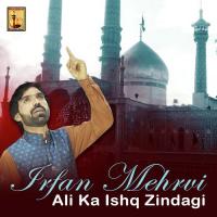 Dekhi Jannat Hai Karbobala Irfan Mehrvi Song Download Mp3