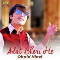 Adat Bheri He Obaid Niazi Song Download Mp3