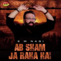 Meri Duniya Ujar Gai Baba S. M. Naqi Song Download Mp3