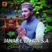 Janab E Zahra S. A Ahmed Raza Yousuf Song Download Mp3