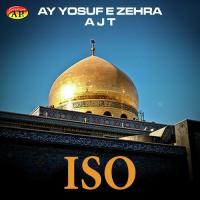 Ya Zainab S A Ya Zainab S A ISO Song Download Mp3