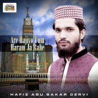 Are Hajiyo Tum Haram Ja Rahe Hafiz Abu Bakar Dervi Song Download Mp3