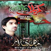 Hussainat Jo Alam Mehdi Zaair Song Download Mp3