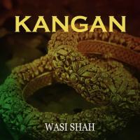 Aankhen Bheeg Jati Hain Wasi Shah Song Download Mp3