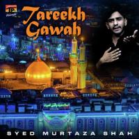 Tareekh Gawah Syed Murtaza Shah Song Download Mp3